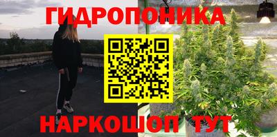 стаф Абинск